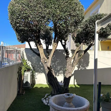 Les Jardins De La Mediterranee *